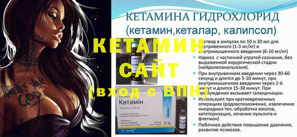 сатива Алзамай