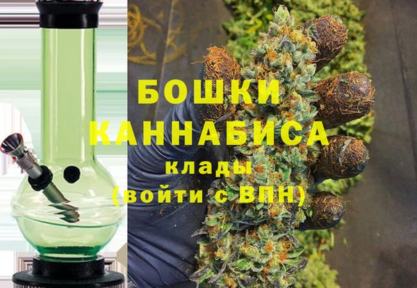 сатива Алзамай