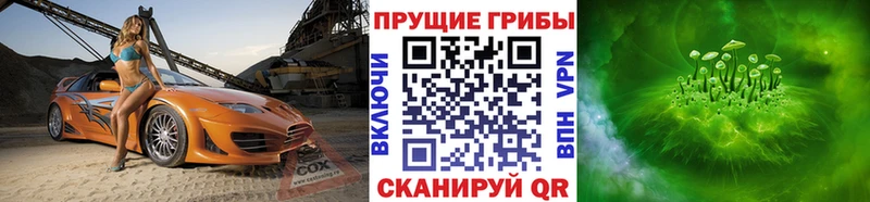Псилоцибиновые грибы GOLDEN TEACHER  KRAKEN как войти  Люберцы  купить закладку 