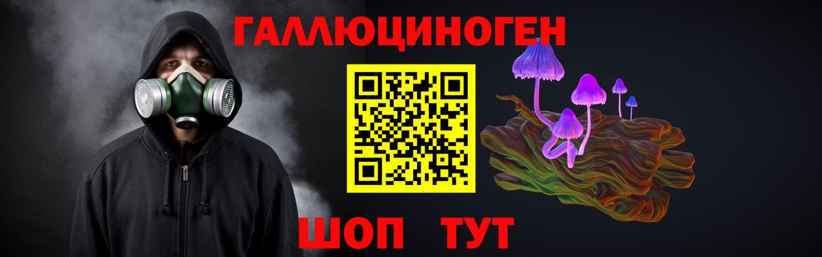Люберцы  Псилоцибиновые грибы Magic Shrooms  Вход с VPN  Псилоцибиновые грибы Psilocybe 
